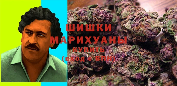 мяу мяу мука Белокуриха
